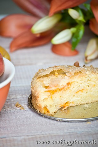 Torta all'albicocca, ricotta e vaniglia