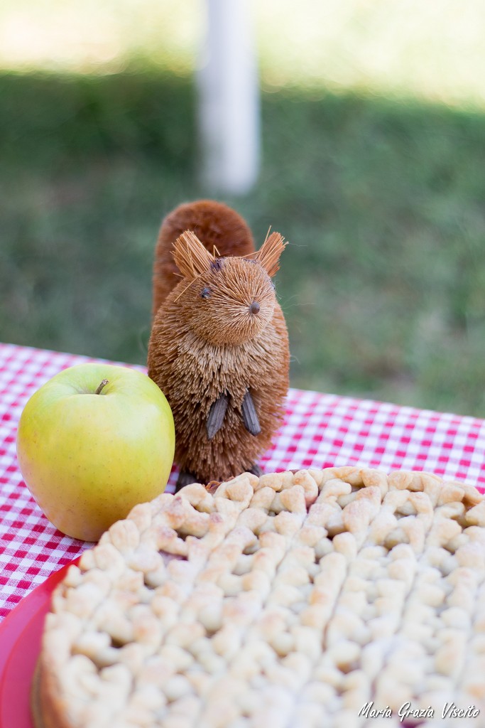 Knit apple pie ovvero un guscio di brisèe che sembra una maglia